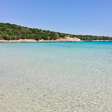 Panoramico *